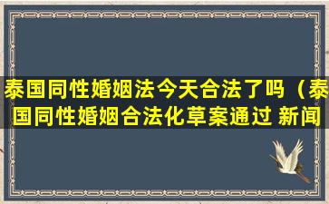 泰国同性婚姻法今天合法了吗（泰国同性婚姻合法化草案通过 新闻）